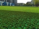 La FIFA a approuvé le remplissage artificiel en caoutchouc vert d'herbe pour le granuel supplémentaire de représentation extérieure